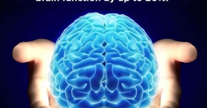 Neuroplasticity, Pain, and Movement